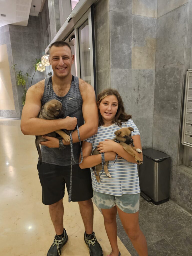 טנק ואייס